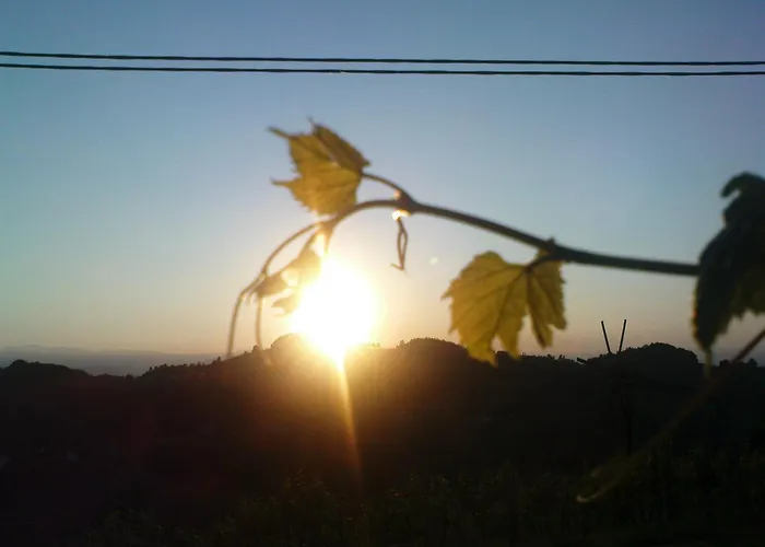 Bioalm Wassermann Wirt Sommereben