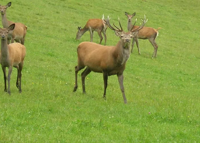 بيت ضيافة Bioalm Wassermann Wirt
