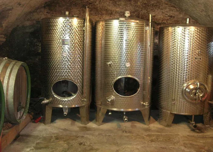 Bioalm Wassermann Wirt