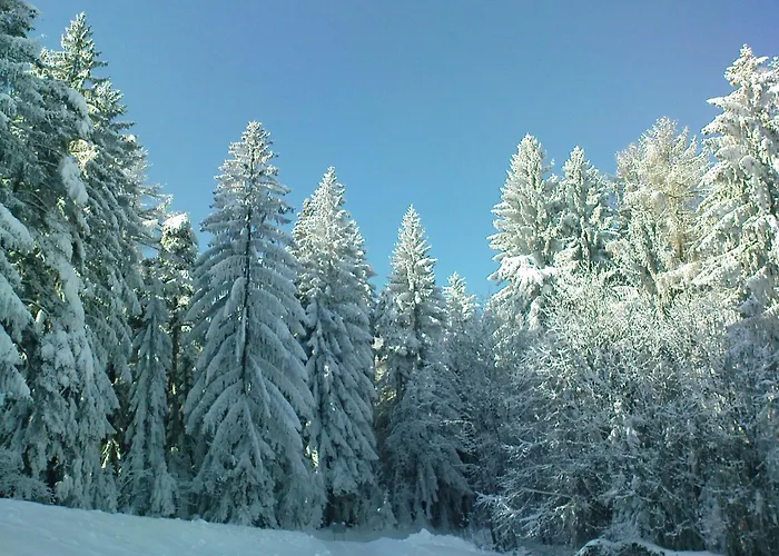 Bioalm Wassermann Wirt